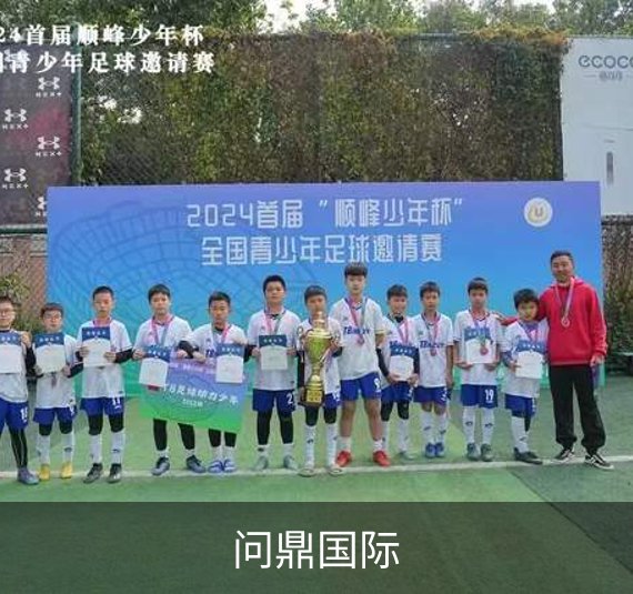 关于问鼎国际